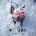 نسخه جدید Witcher