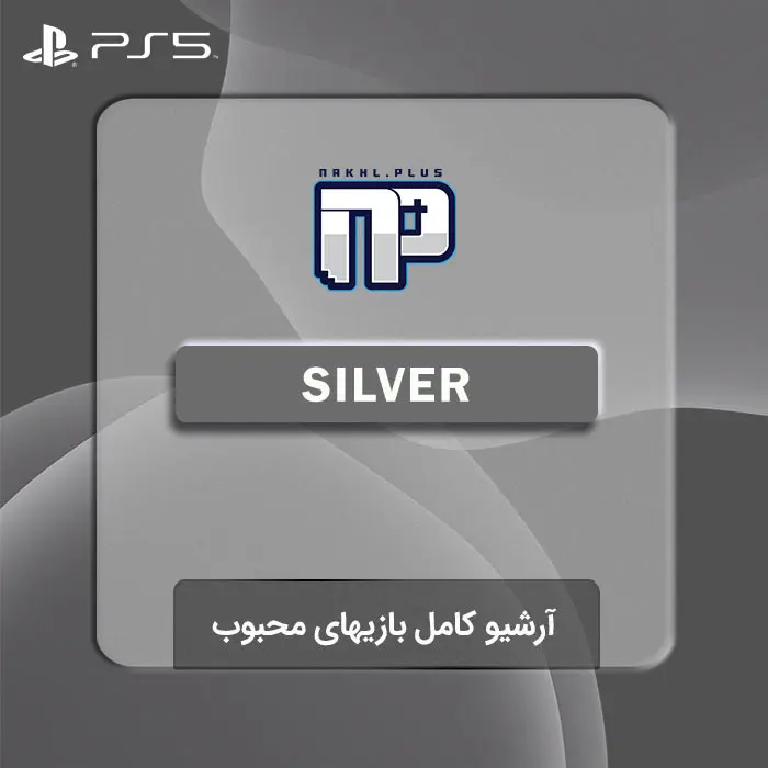 Silver PS5